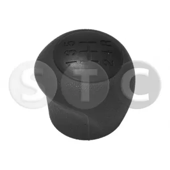 STC T465037 - Pommeau