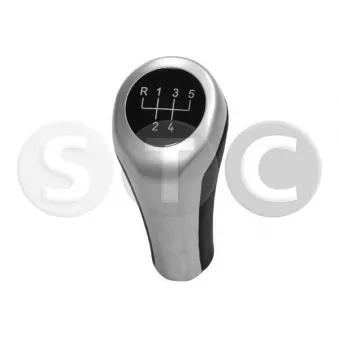 STC T465076 - Pommeau