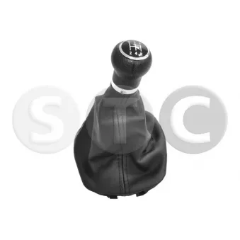 STC T465096 - Pommeau