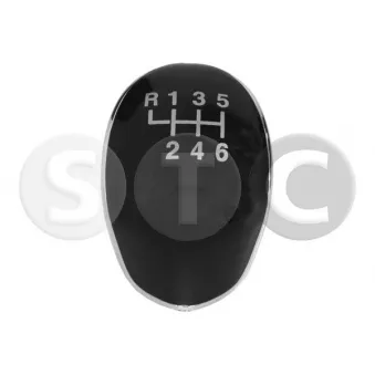 STC T465118 - Pommeau