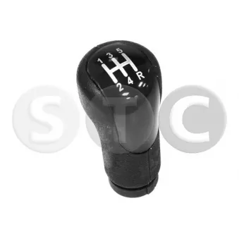 STC T465122 - Pommeau