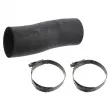 FEBI BILSTEIN 49052 - Durite de radiateur