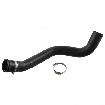 Durite de radiateur FEBI BILSTEIN 49136