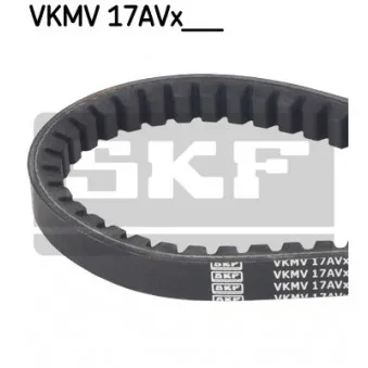 Courroie trapézoïdale SKF OEM 8979430220