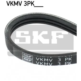SKF VKMV 3PK597 - Courroie trapézoïdale à nervures