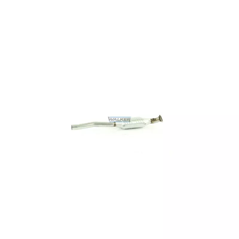 Catalyseur WALKER 20251 - Visuel 1