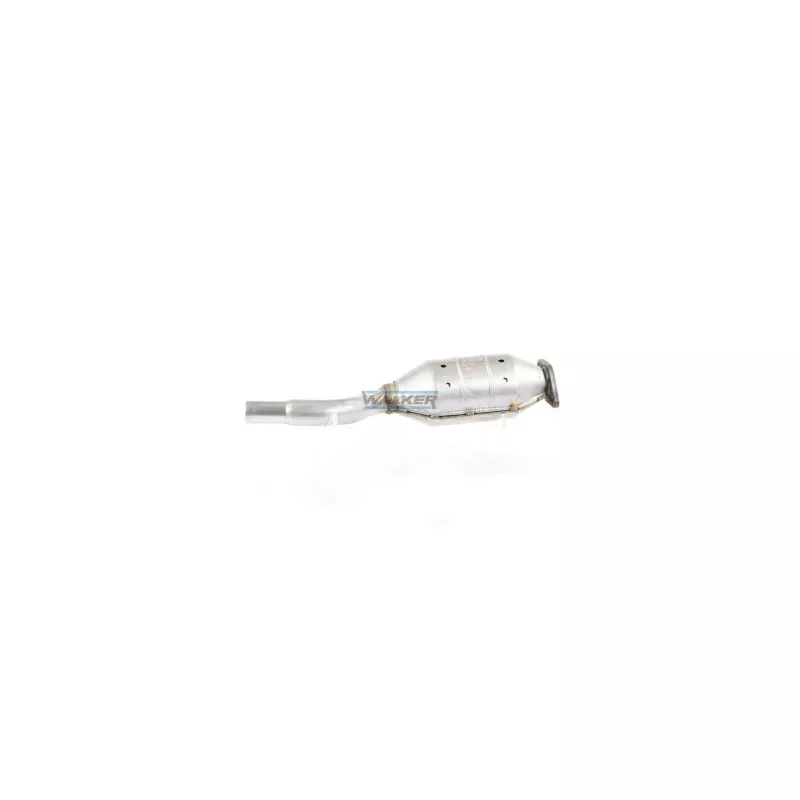 Catalyseur WALKER 20302 - Visuel 1