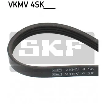 SKF VKMV 4SK1022 - Courroie trapézoïdale à nervures