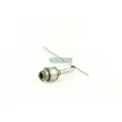 WALKER 20356 - Catalyseur
