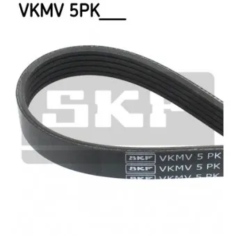 Courroie trapézoïdale à nervures SKF VKMV 5PK1218 pour VOLKSWAGEN POLO 64 1.9 D - 64cv