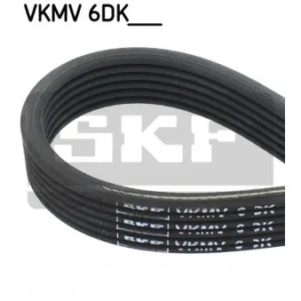SKF VKMV 6DK1215 - Courroie trapézoïdale à nervures