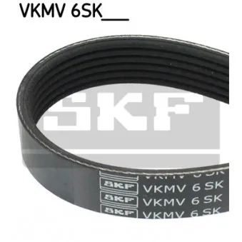 Courroie trapézoïdale à nervures SKF VKMV 6SK1030 pour FORD C-MAX 1.6 Flexifuel - 120cv