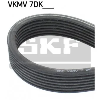 Courroie trapézoïdale à nervures SKF VKMV 7DK1360 pour VOLKSWAGEN GOLF 2.9 VR6 Syncro - 190cv