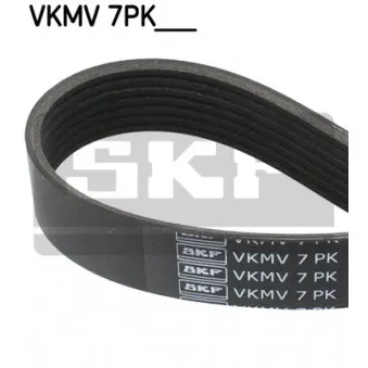 Courroie trapézoïdale à nervures SKF VKMV 7PK1165 pour RENAULT CLIO 1.0 LPG - 101cv