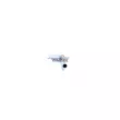 Silencieux central WALKER [23145]
