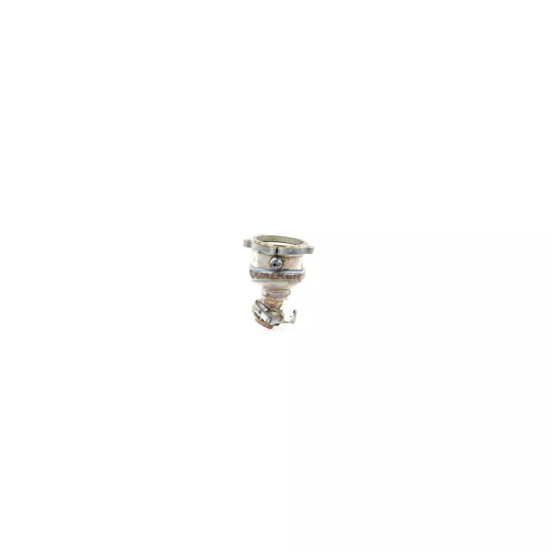 Catalyseur WALKER 28059 - Visuel 1