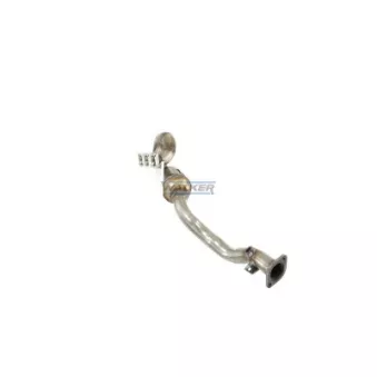 Catalyseur WALKER 28071