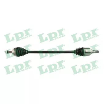 Arbre de transmission LPR OEM 391019U005
