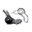 TEKNÖR CPW-CH-048 - Pompe à eau, refroidissement du moteur