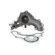TEKNÖR CPW-CH-048 - Pompe à eau, refroidissement du moteur
