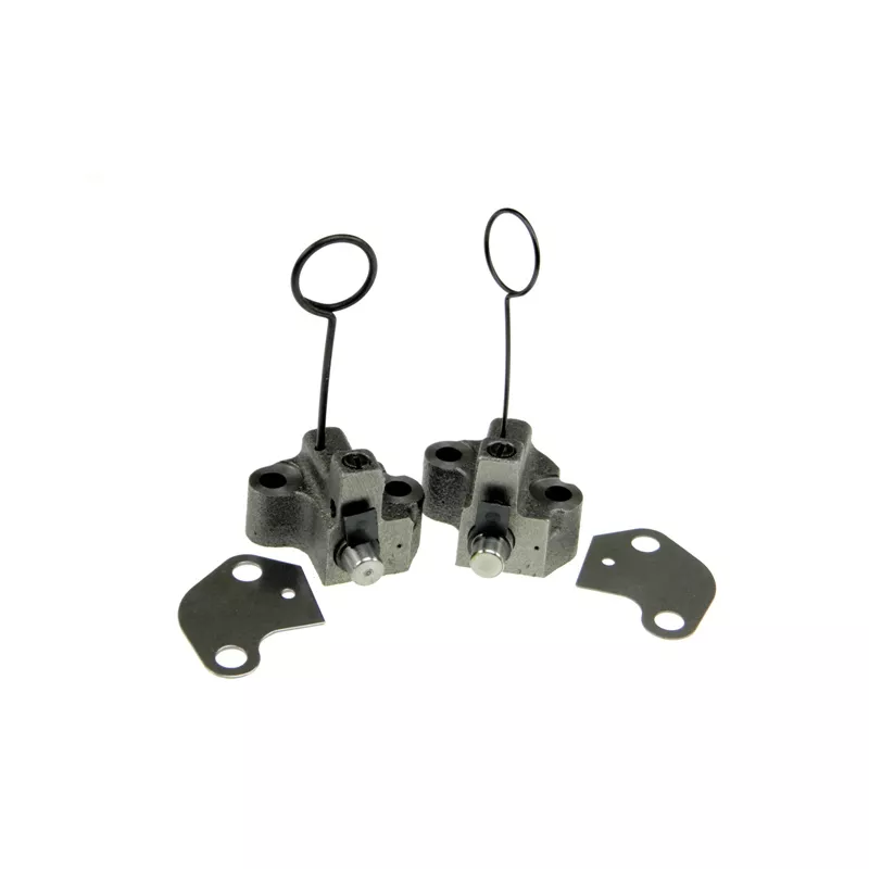 Kit de distribution par chaîne TEKNÖR RZR-CH-003 - Visuel 1