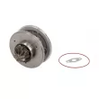 EVORON EVCH0079 - CHRA - Cartouche de turbo