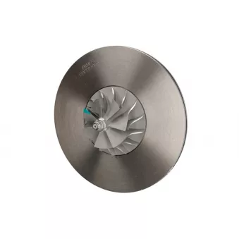 CHRA - Cartouche de turbo EVORON OEM 0080966099