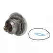 EVORON EVCH0259 - CHRA - Cartouche de turbo