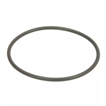 Joint boîtier de filtre à air VNE 4008070