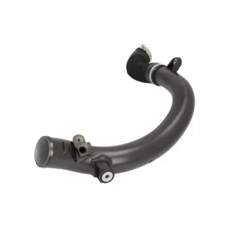 Durite de turbo VNE 4008257