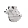 SANDEN PXV16-1752 - Compresseur de climatisation