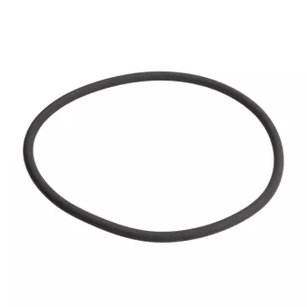 Joint torique de goupille élastique LEMA OEM 17298081