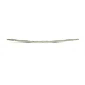 Lame de suspension TES OEM A9033200606