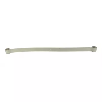 Lame de suspension TES 3199430119 Z/T
