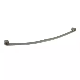 Lame de suspension TES 97032006060119 Z/T
