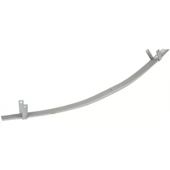 Lame de suspension TES 7286600319