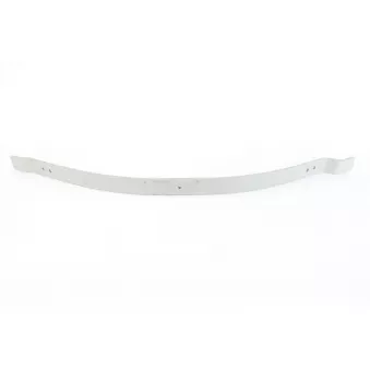 Lame de suspension TES OEM A9033200606