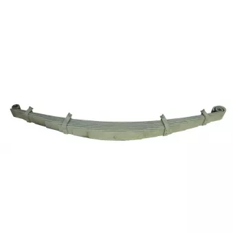 Groupe de ressorts TES OEM 1101630