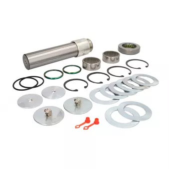 Kit d'assemblage, pivot de fusée d'essieu LEMA 313 pour MAN M 2000 M 12,285 MC, MLC, MLLC, MLRC, MRC, MLLRC - 280cv