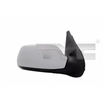 Rétroviseur extérieur TYC OEM DD21691G1A