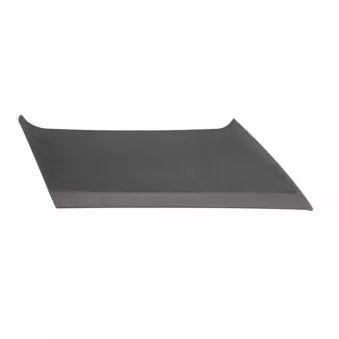Éléments de pare-chocs COVIND TGX/ 87