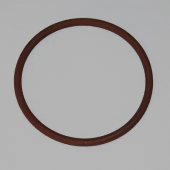 Joint d'étanchéité, thermostat WAHLER OEM 17290081