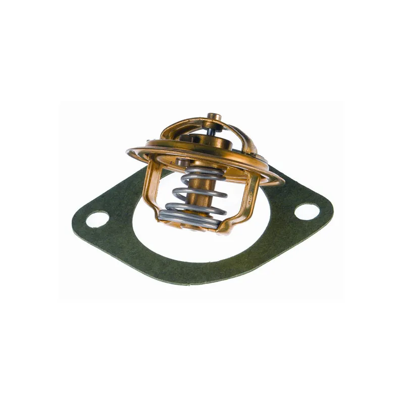 Thermostat d'eau WAHLER 3004.92D1 - Visuel 1