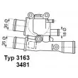 WAHLER 3163.88D - Thermostat d'eau