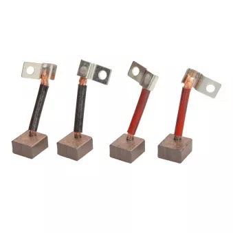 CQ CQ2040017 - Charbon du démarreur