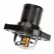 WAHLER 3463.89D - Thermostat d'eau