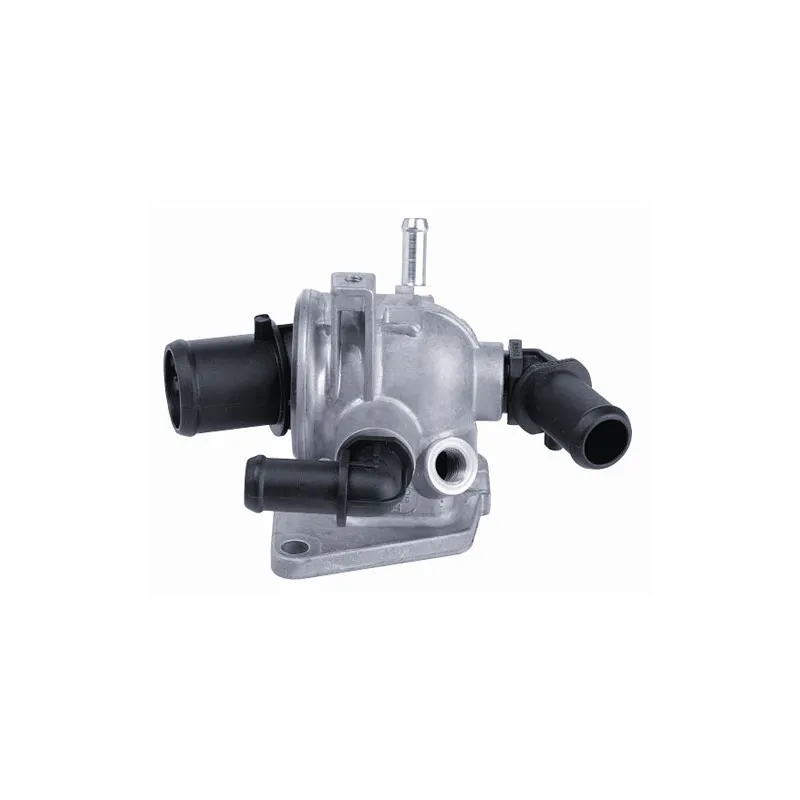 Thermostat d'eau WAHLER 410048.88D - Visuel 1