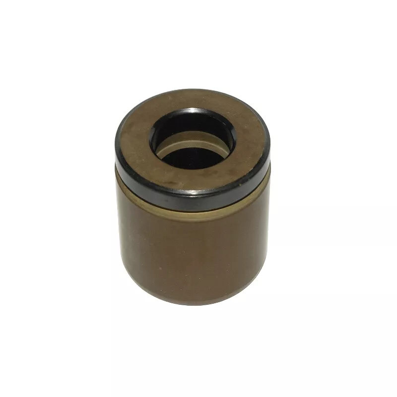 Piston d'étrier de frein CQ CQ71485263 - Visuel 1