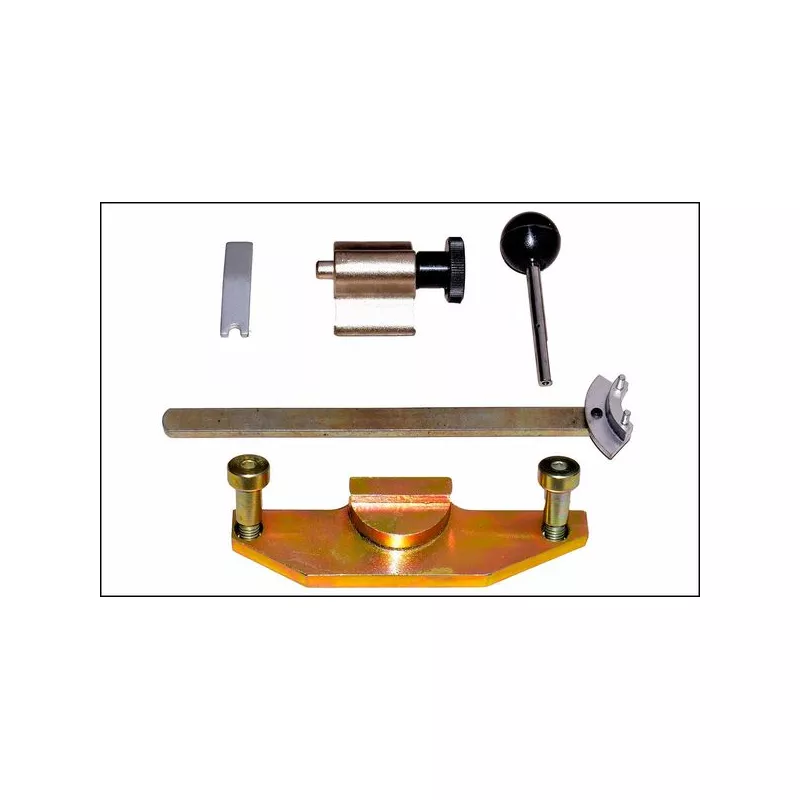 Piges de calage moteur PROFITOOL 0XWAR0259 - Visuel 1