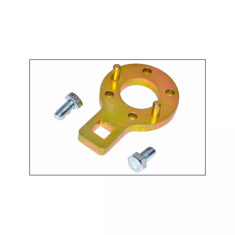 Piges de calage moteur PROFITOOL 0XWAR0140 - Visuel 1
